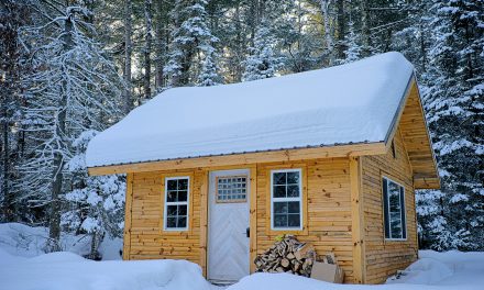 <strong>Een chalet renoveren? Gebruik kunststof</strong>